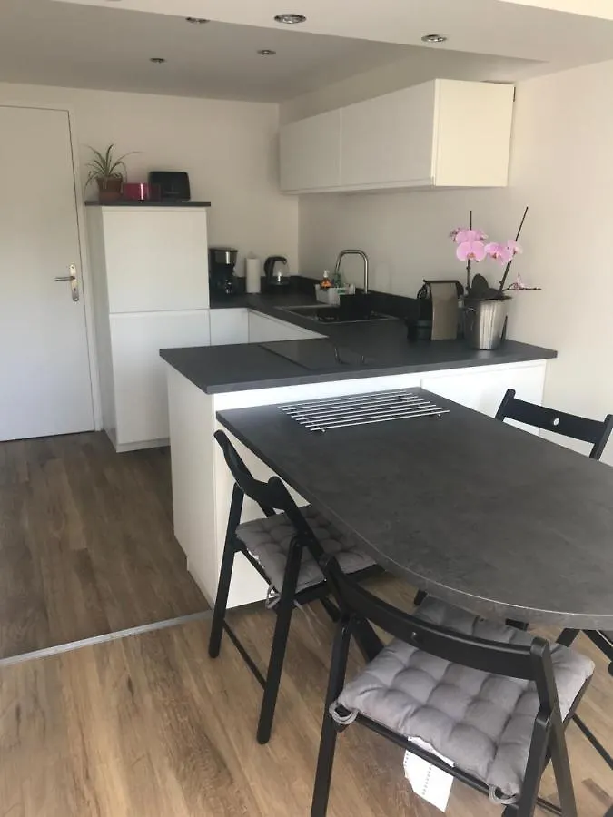 Διαμέρισμα Appartement Et Studio Gites De L'Odet Clohars-Fouesnant
